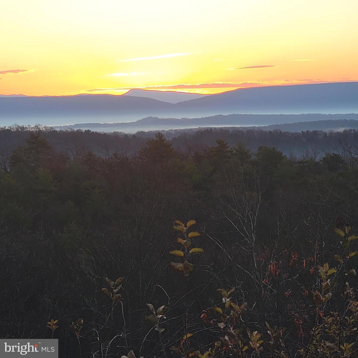685 N Maple Rd, Mount Jackson, VA, 22842