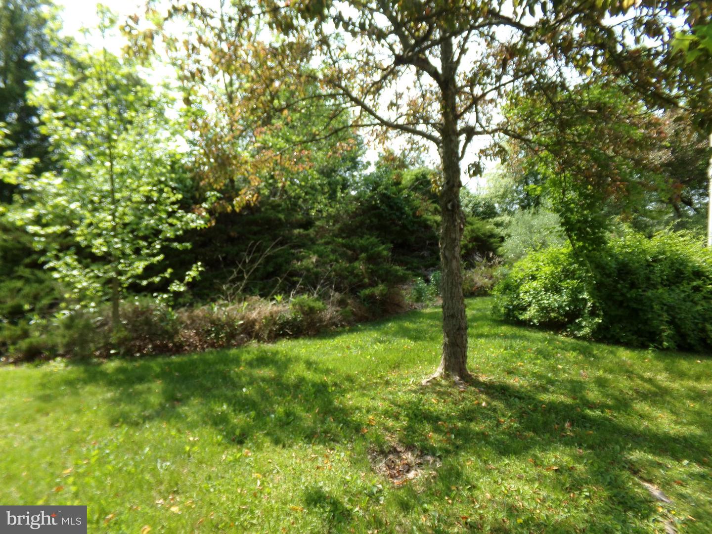 Photo 3 of 18 of 1021 Almshouse Rd house