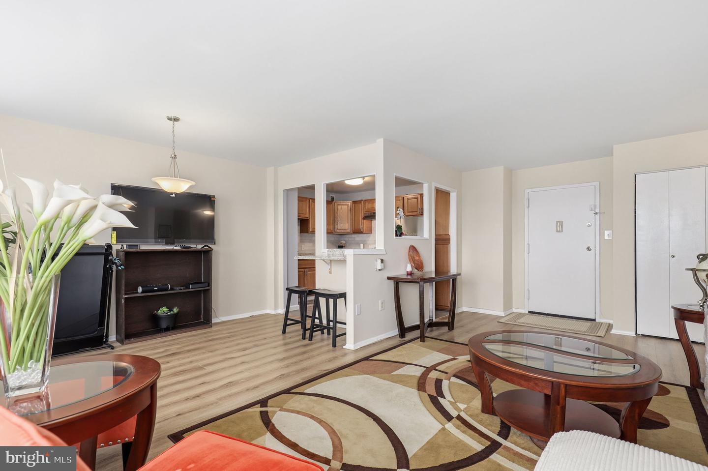 1111 University Boulevard W Unit 1114-A, Silver Spring, MD, 20902