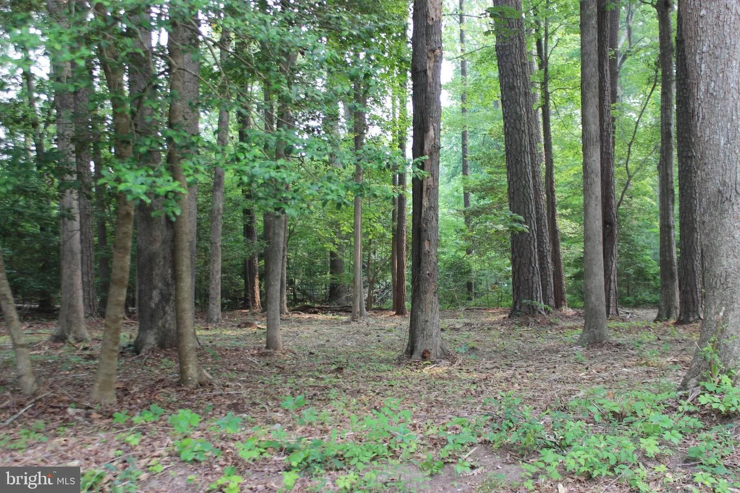 2105 Buccaneer Boulevard, Greenbackville, VA, 23356