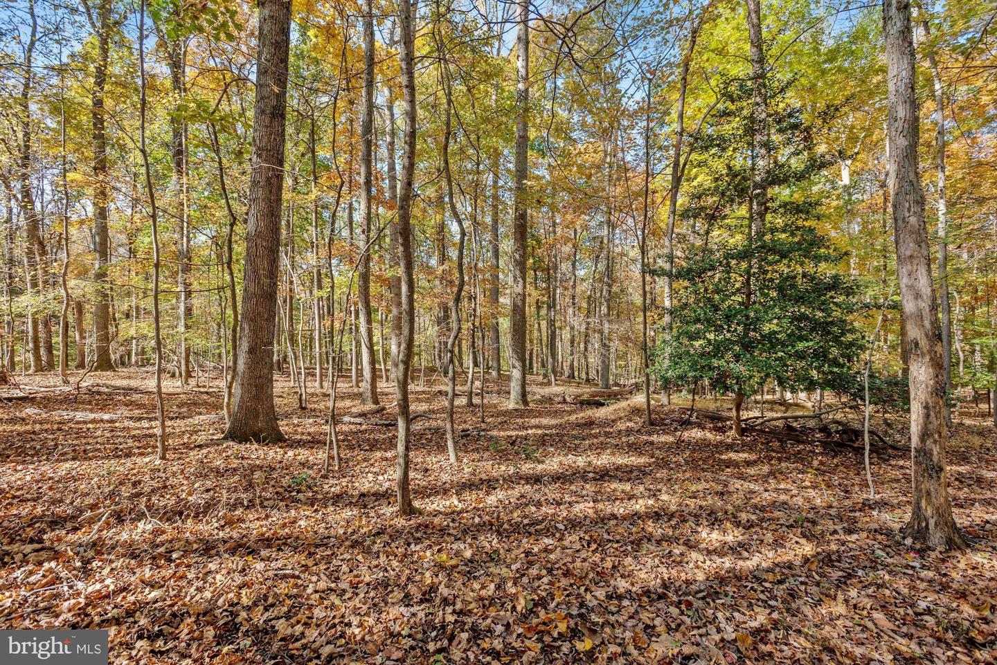 Photo 6 of 18 of 615 Utterback Store Rd land