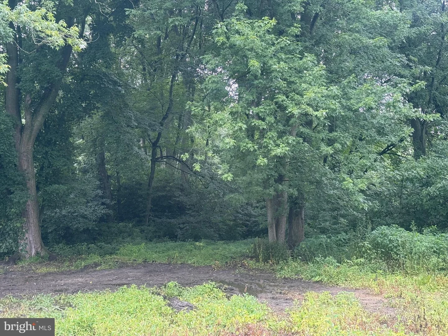 10440 Burrsville Branch Road