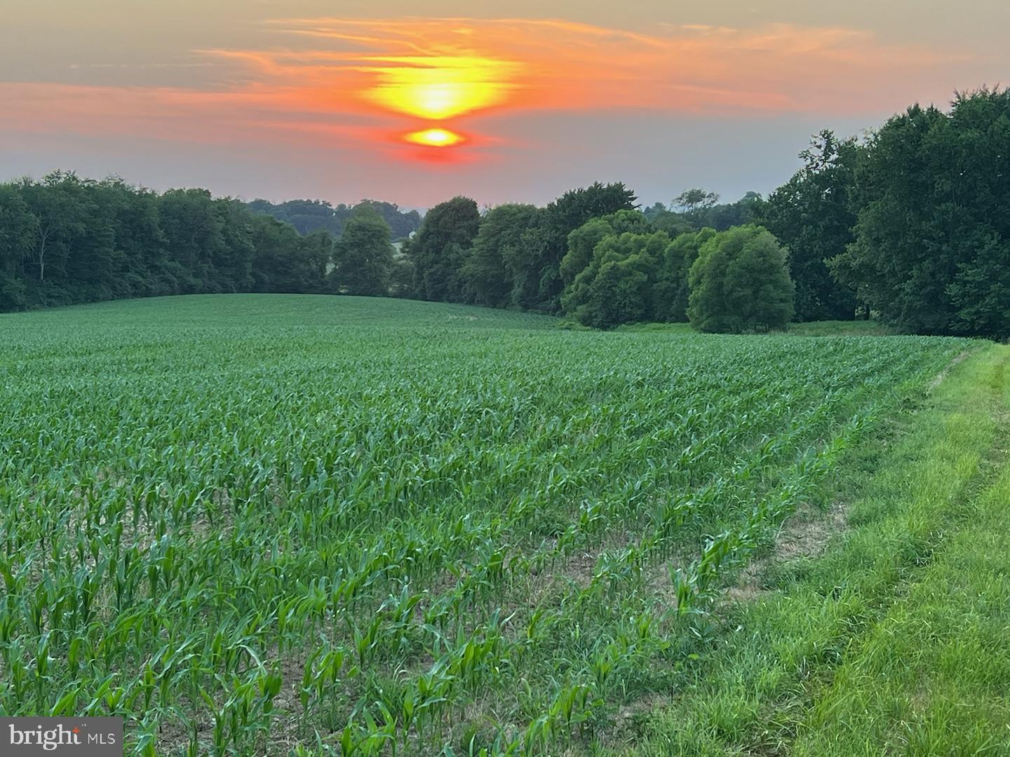 Photo 9 of 43 of 200 Clouser Rd land