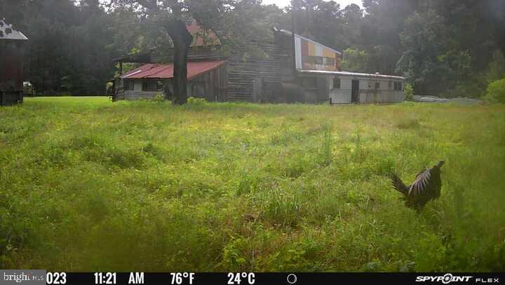 Photo 44 of 63 of 5076 Back Shelltown Rd mobile home