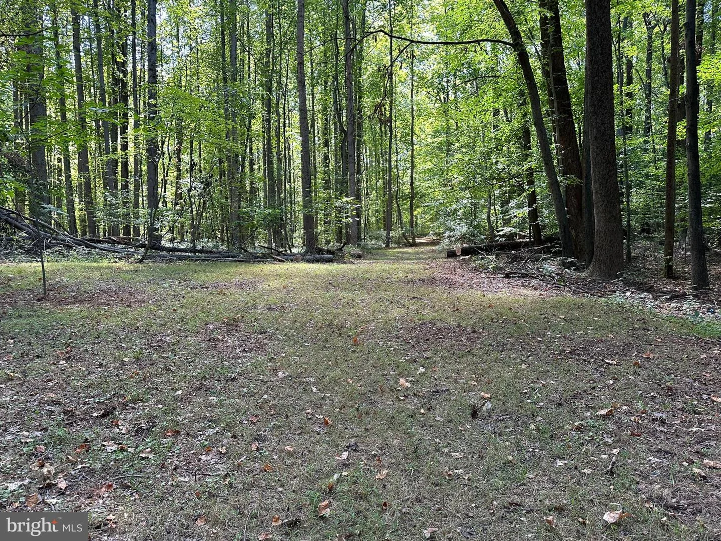 1500, 1501, 1504 Cogar Road