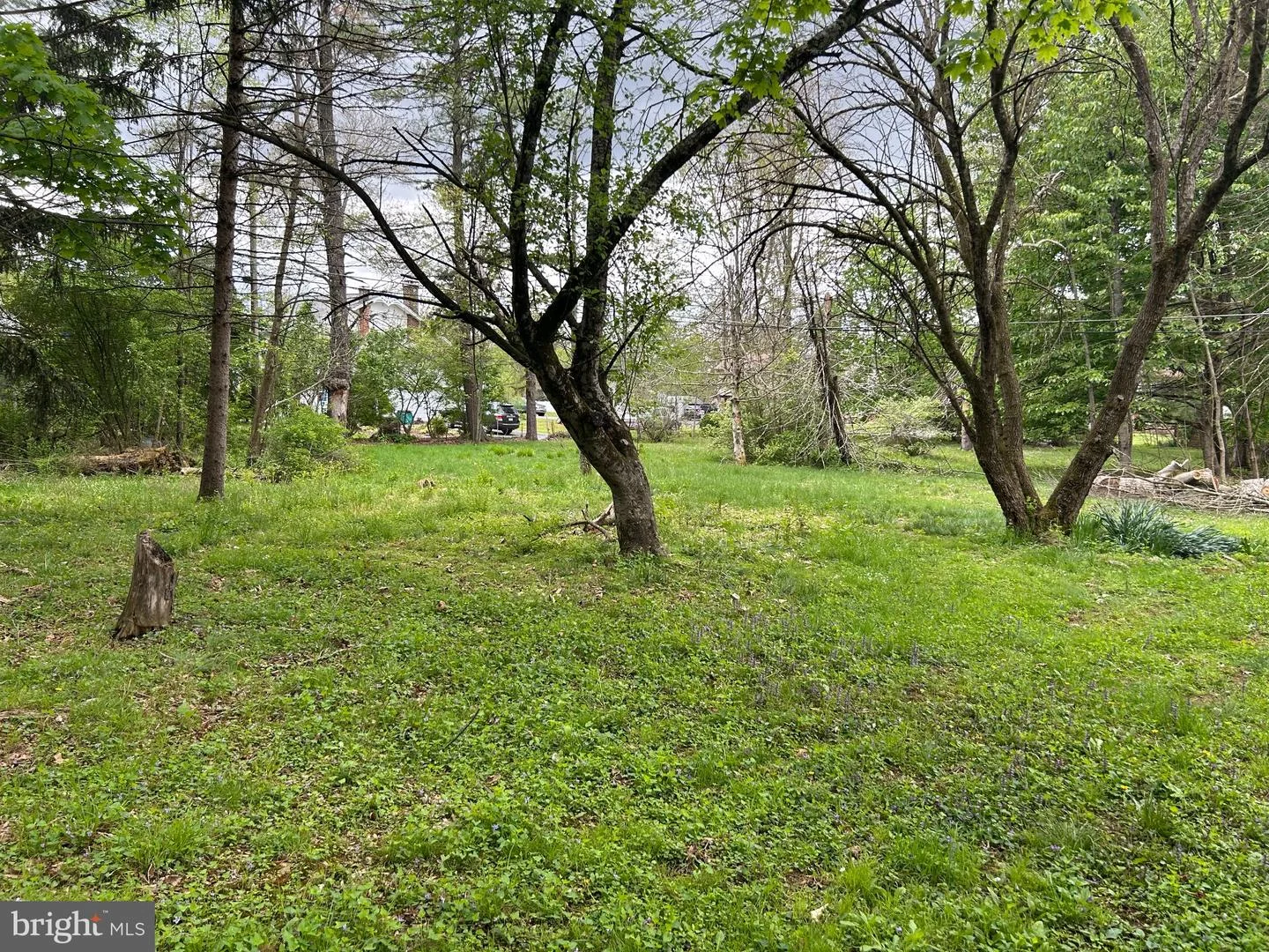 223 Maple Boulevard, Orwigsburg, PA, 17961