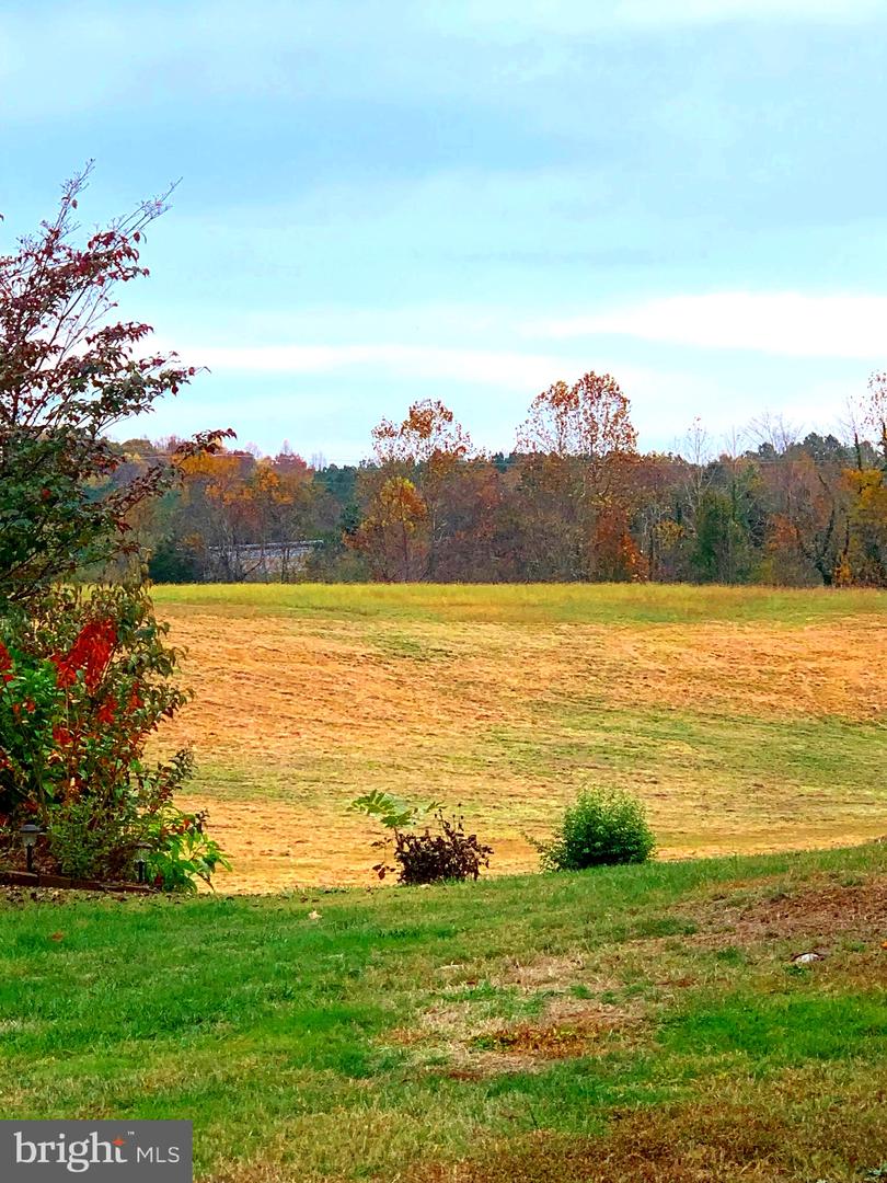 S Main Street, Bowling Green, Virginia image 18