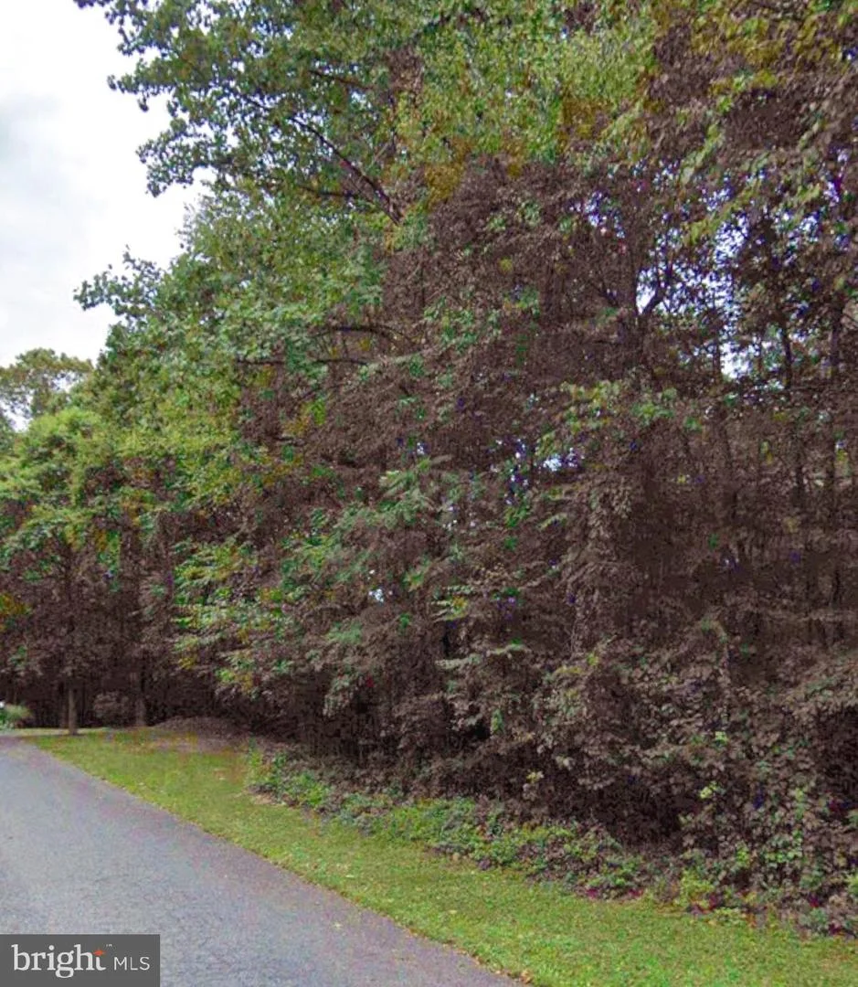 23 Deer Lane