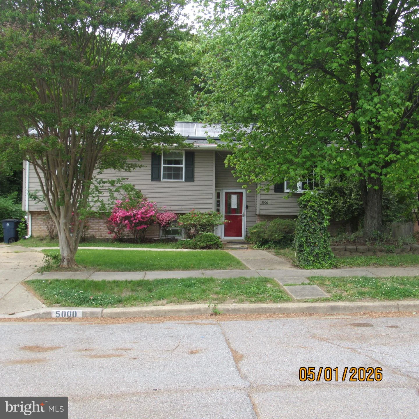 5000 Luci Lane