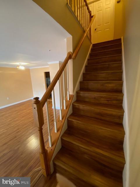 Photo 9 of 38 of 13037 Silver Maple Ct townhome