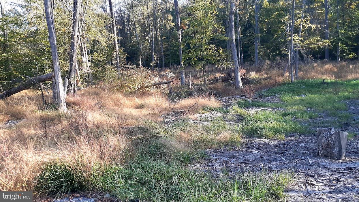 Photo 1 of 5 of Stewart Hill Rd land