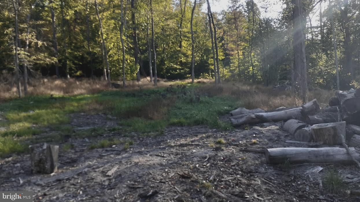 Photo 3 of 5 of Stewart Hill Rd land