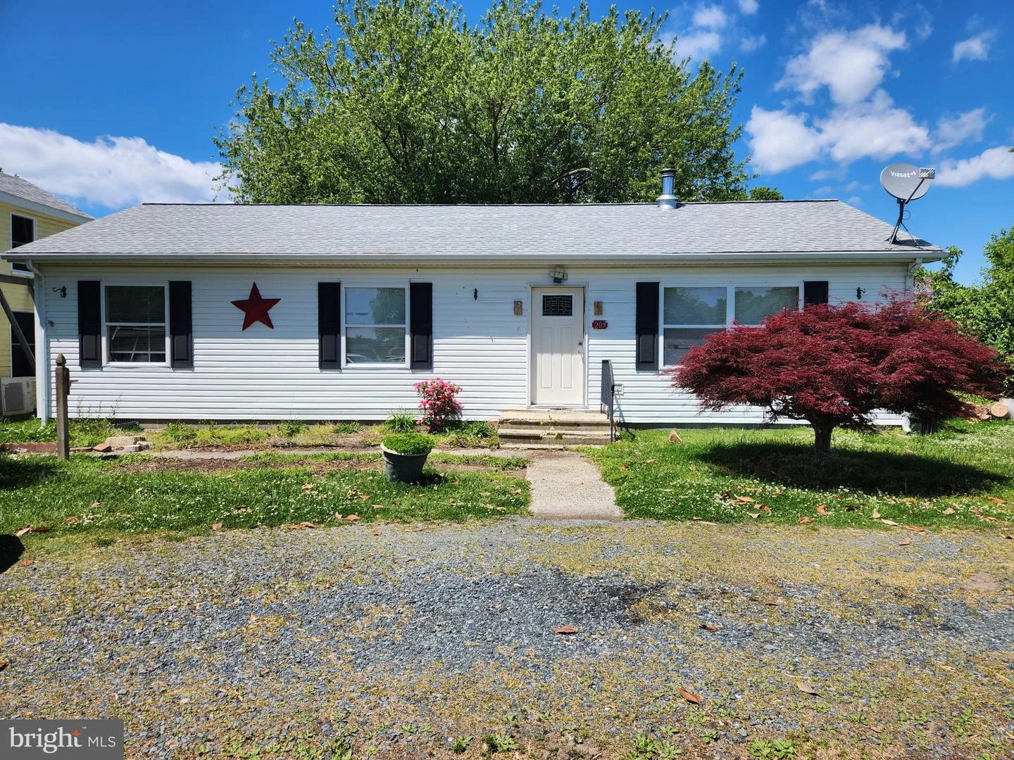 203 Canton Street