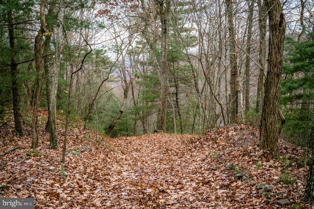 Lot 22 Buck Ridges Road, Franklin, West Virginia image 6