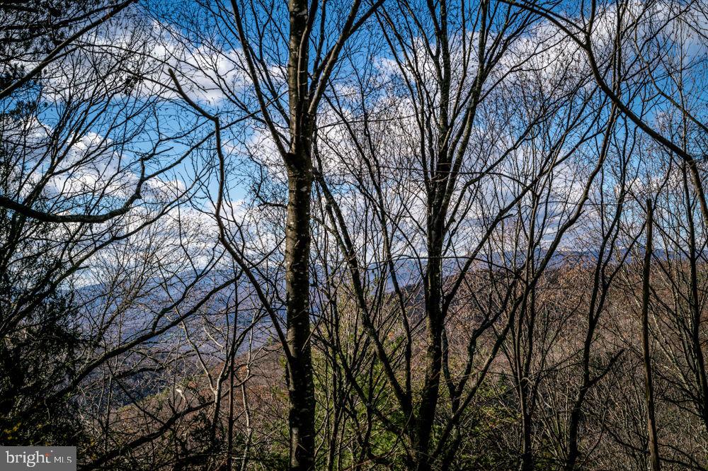 Lot 22 Buck Ridges Road, Franklin, West Virginia image 16