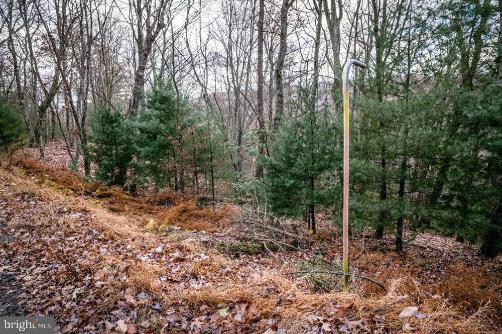 Lot 22 Buck Ridges Road, Franklin, West Virginia image 7