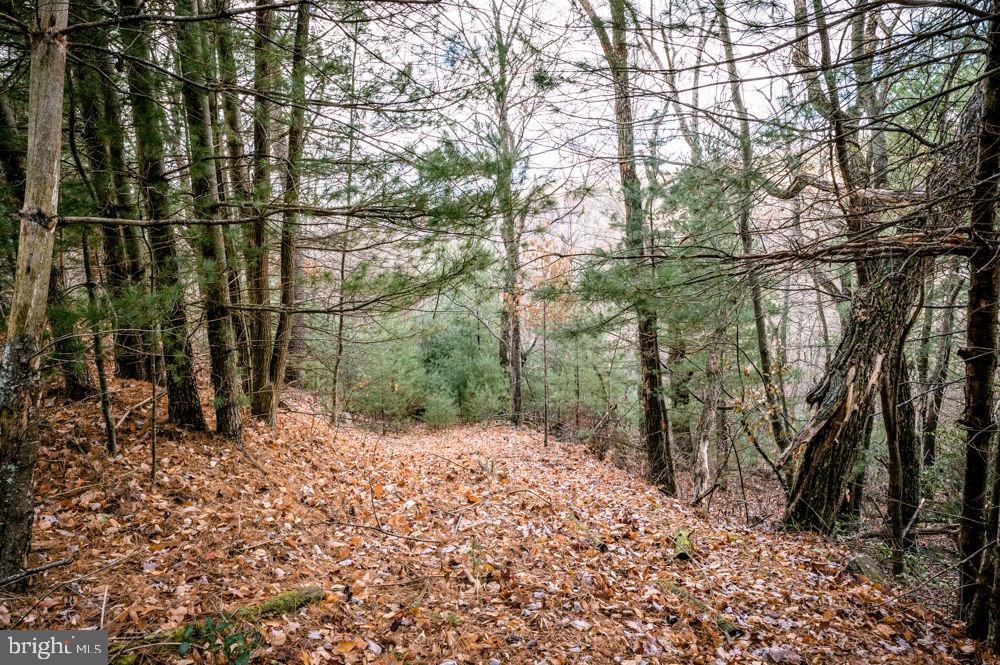 Lot 22 Buck Ridges Road, Franklin, West Virginia image 8