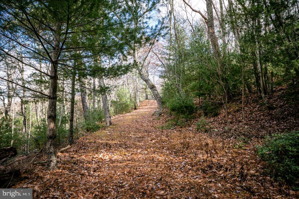 Lot 22 Buck Ridges Road, Franklin, West Virginia image 9