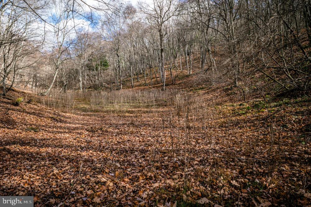 Lot 22 Buck Ridges Road, Franklin, West Virginia image 10