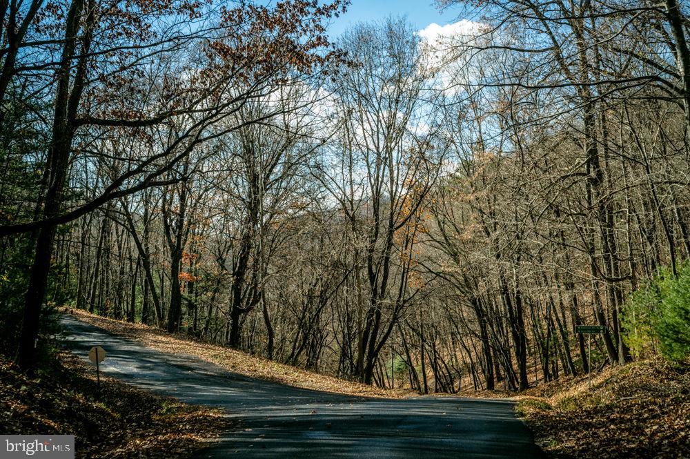 Lot 22 Buck Ridges Road, Franklin, West Virginia image 2