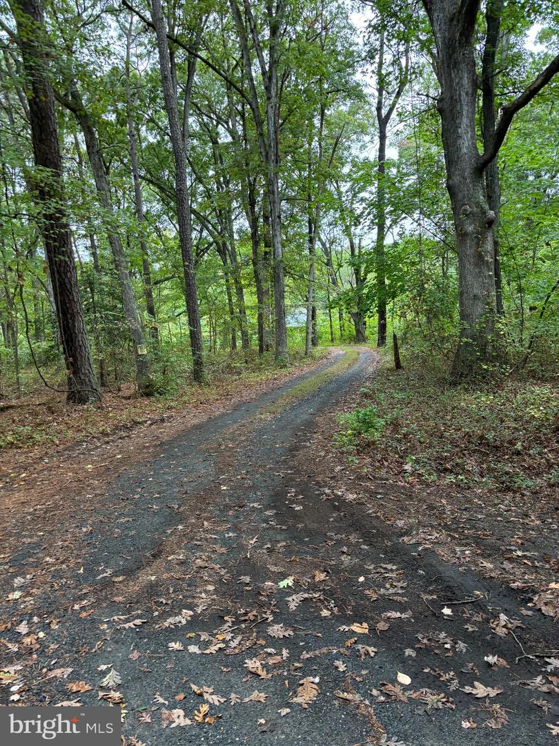 21748 Cabin Lane, Sherwood, Maryland image 3