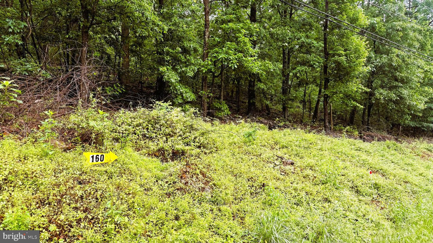 LOT 160 Hawk Trail Trl, Winchester, VA, 22603