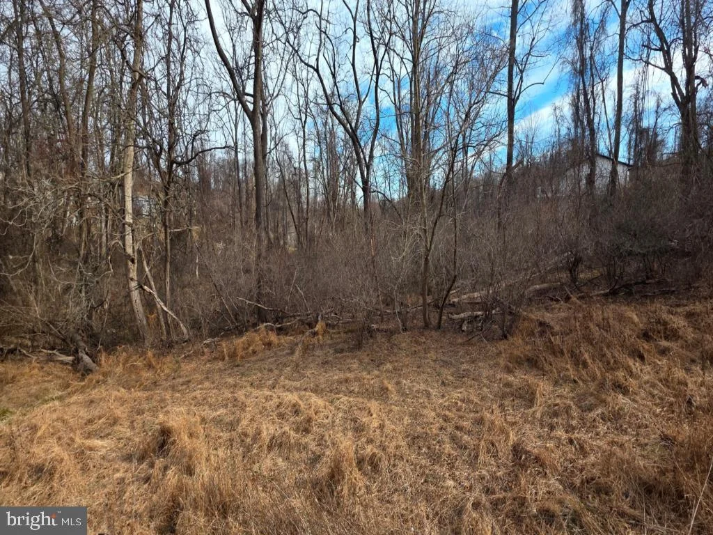 4 Apple Trail