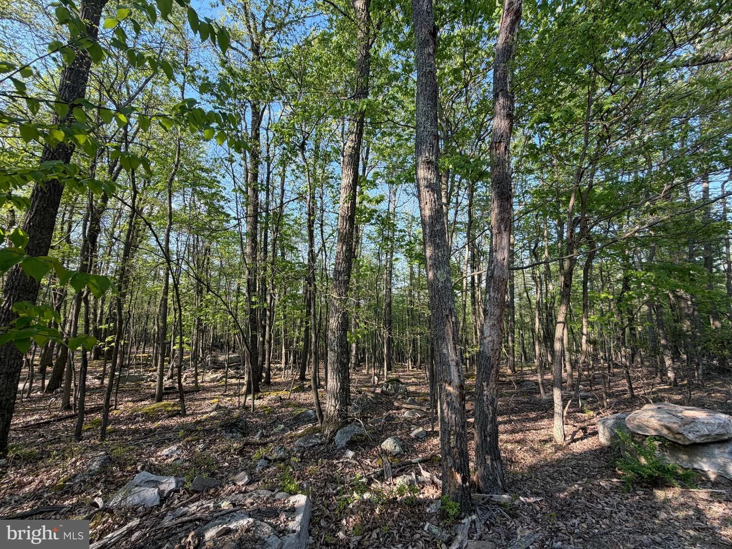 136 Spring Mountain Dr, Zion Grove, PA, 17985