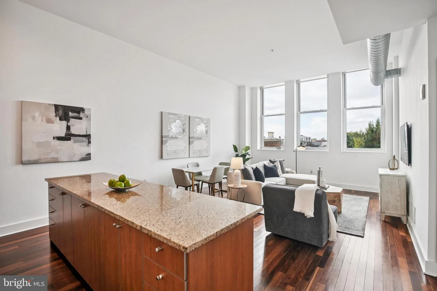 1101 Locust Street Unit 4E