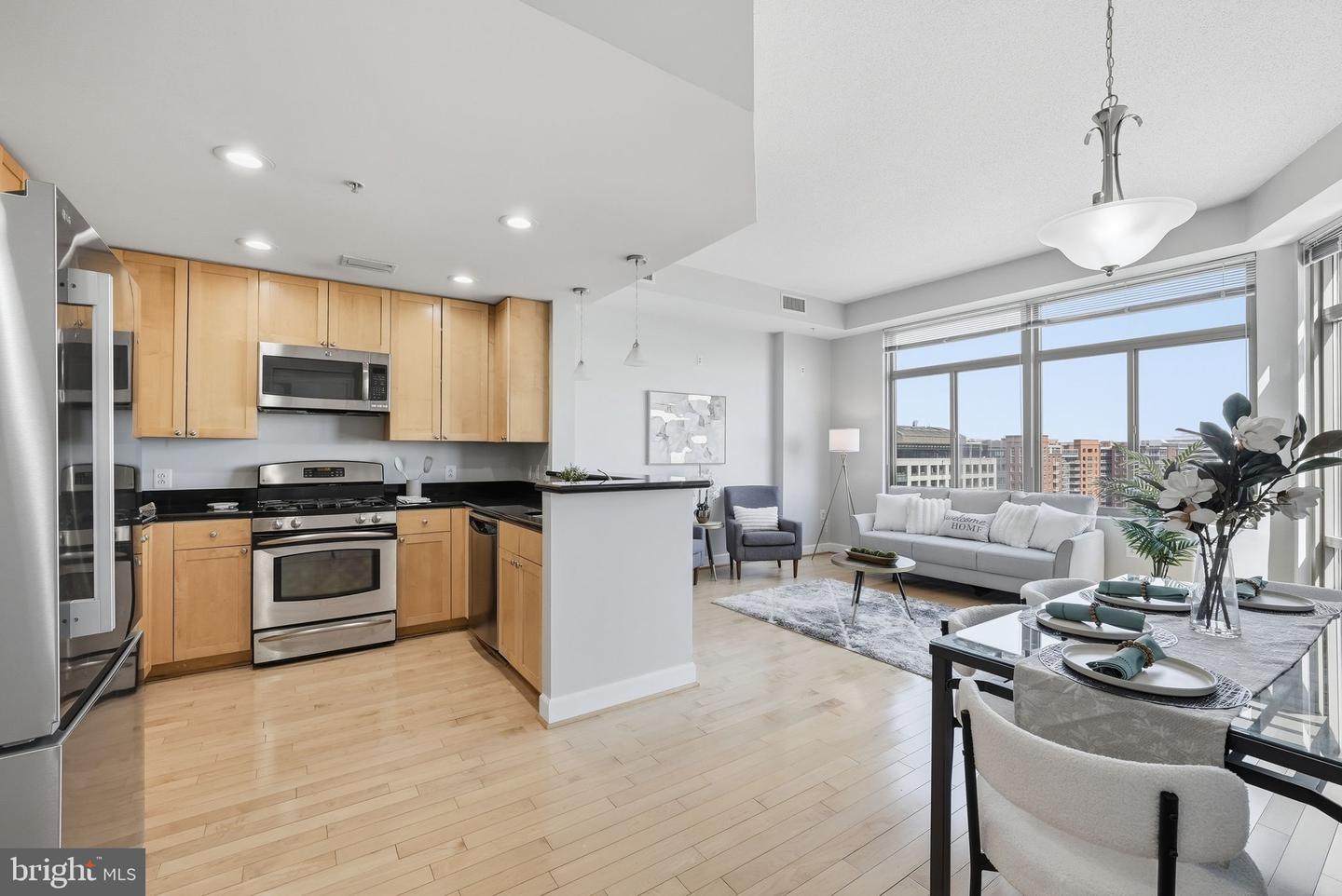 3650 S Glebe Road Unit 1145, Arlington, VA, 22202