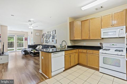 Condominium in Silver Spring MD 8045 Newell STREET.jpg