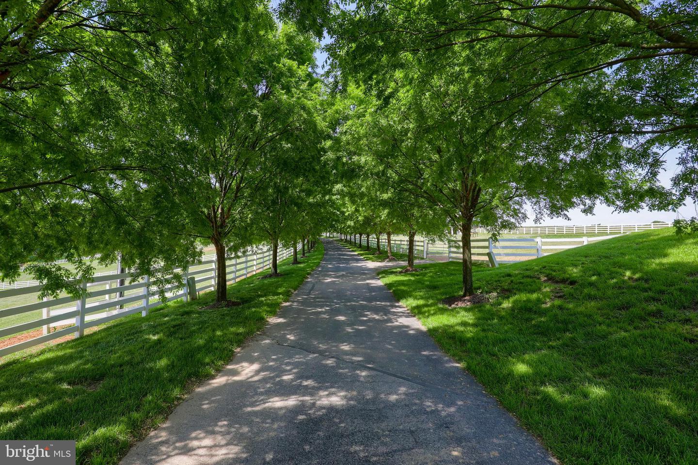 1274 Oakwood Road, New Freedom, Pennsylvania image 9