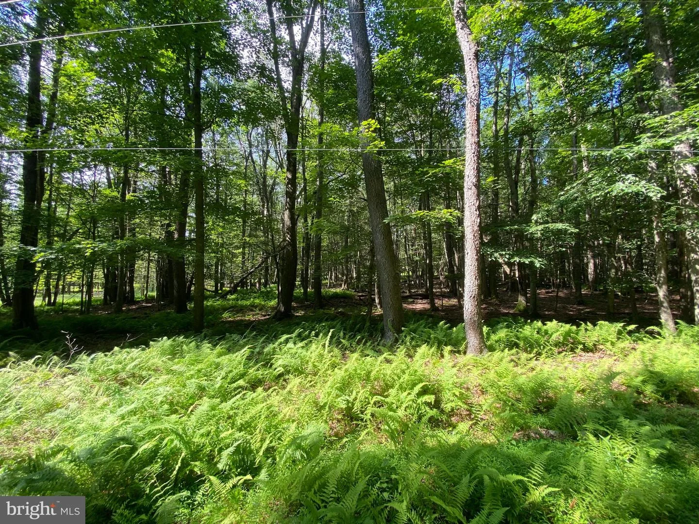 Lot 4 Basswood Drive, South Sterling, PA, 18445