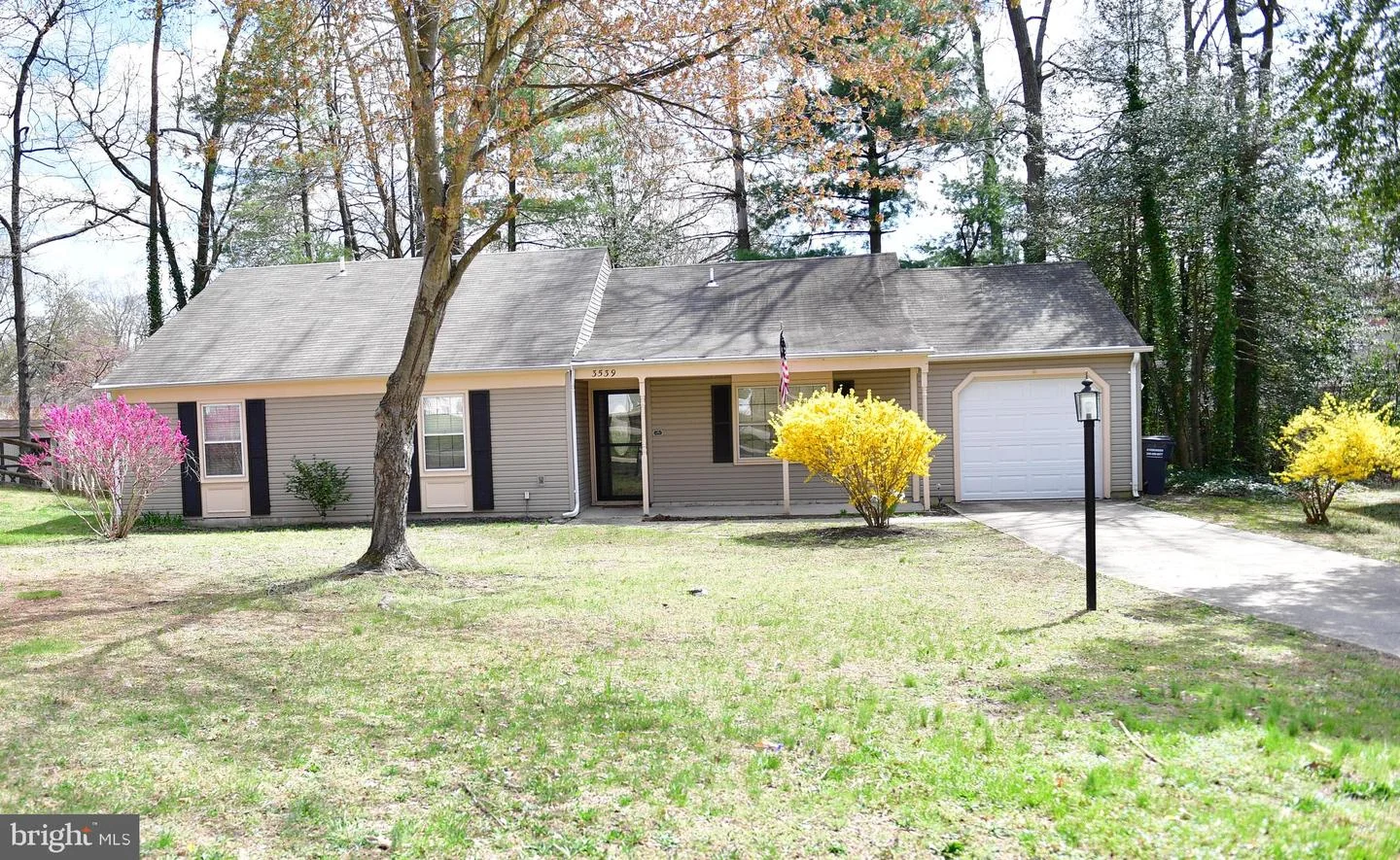 3539 Smokethorn Court