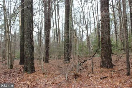 2104 Buccaneer Boulevard, Greenbackville, VA, 23356
