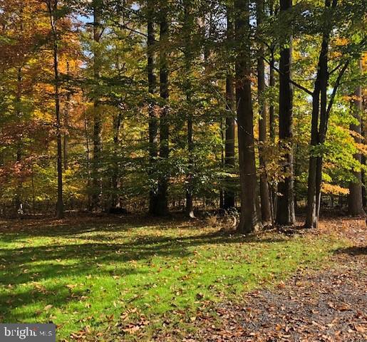 Photo 9 of 22 of Brooke Farm Dr land