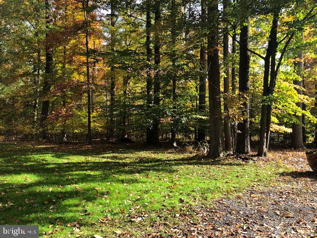 Photo 8 of 22 of Brooke Farm Dr land