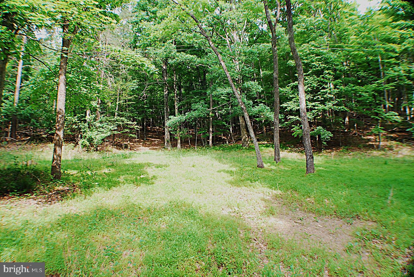 Lot 5 Snake, Winchester, VA, 22603