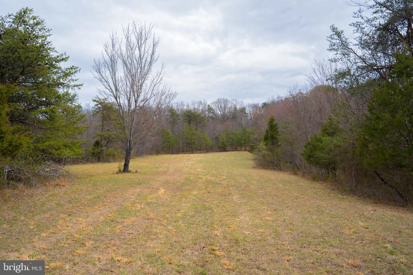 Wardensville Grade