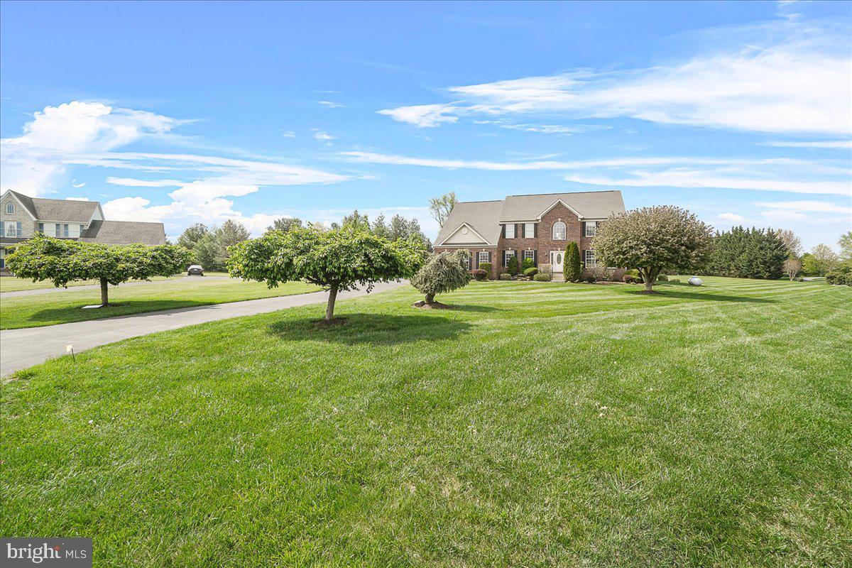 10107 Statesman Ct