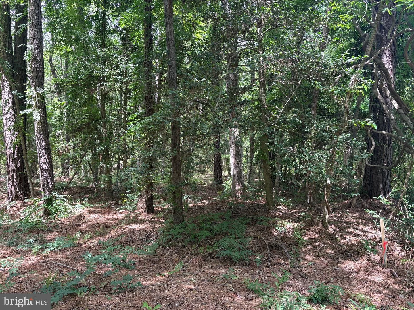 Lot 27 Stotsylvania Road Dr