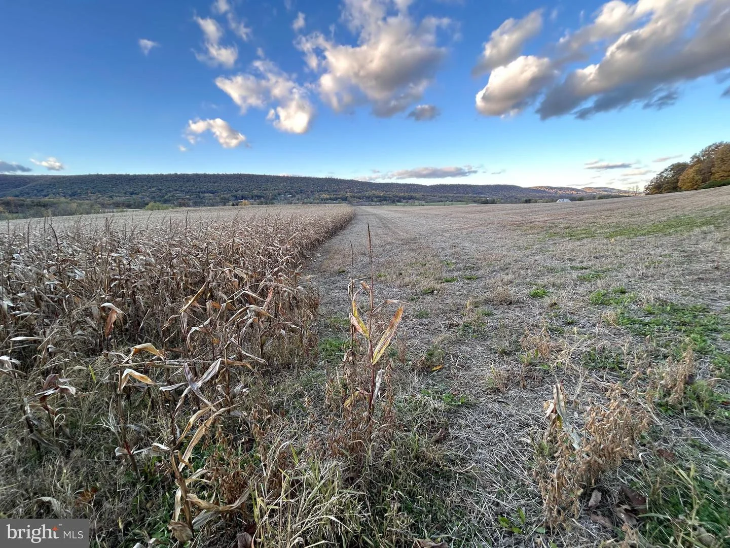 Lot #2 Linden Hall Road, Boalsburg, PA, 16827