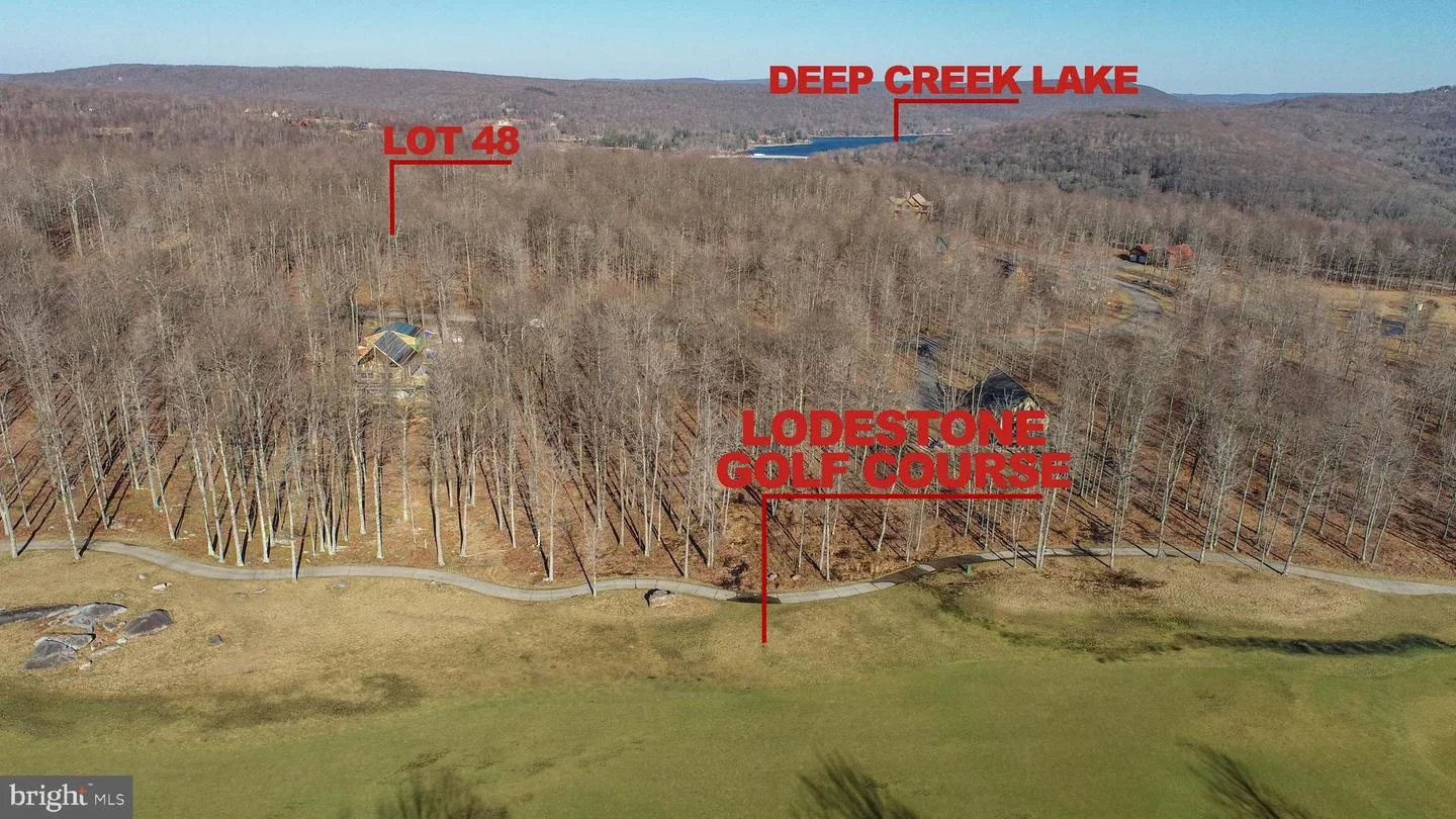 48 Fern Loop