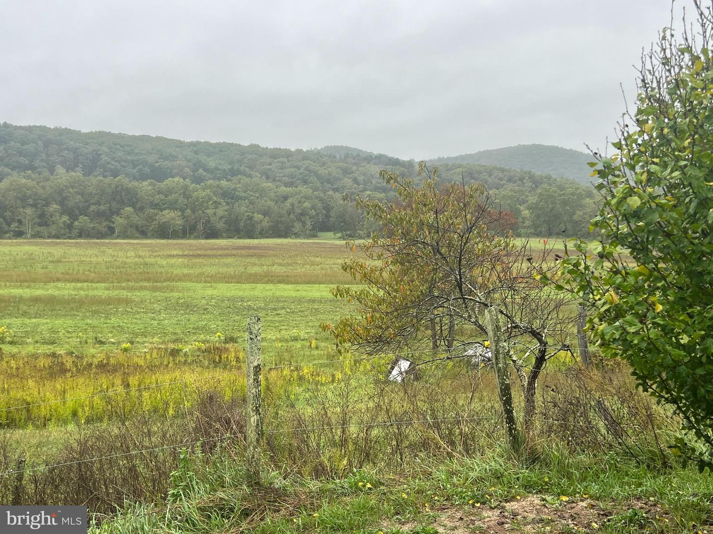 11119 Stotlemeyer Road, Little Orleans, Maryland image 38