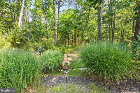 A home in Little Egg Harbor Twp