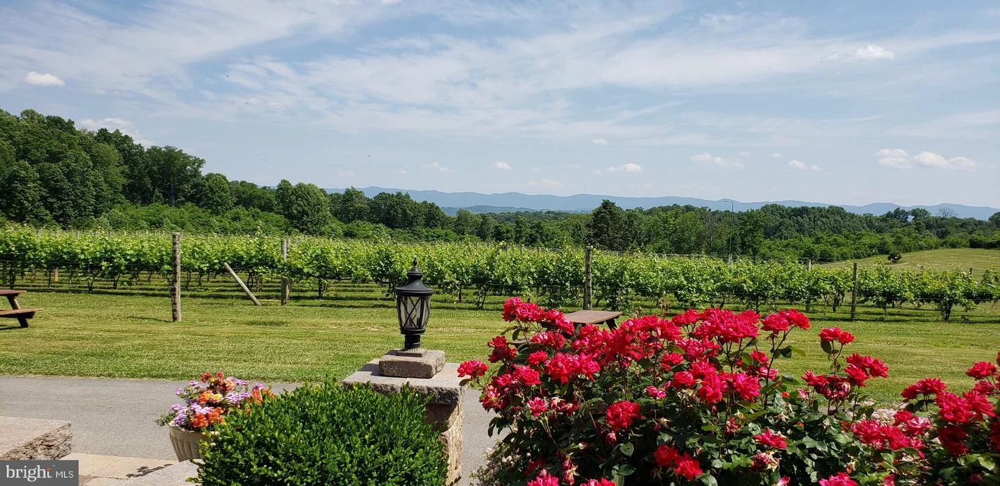 4204 Old Fincastle Rd Rd, Fincastle, VA, 24090