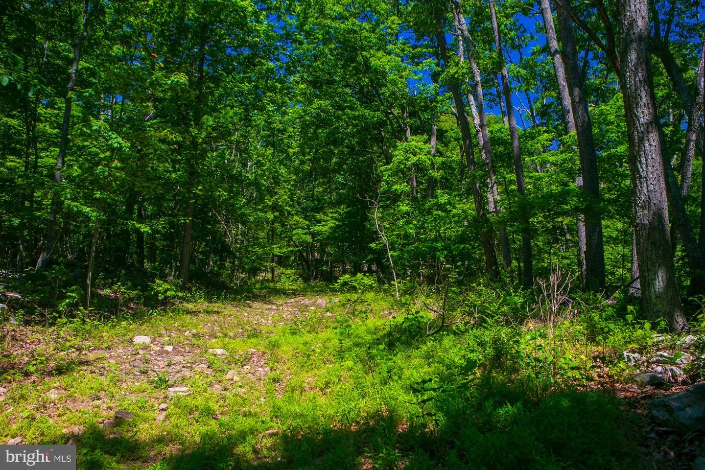 Lot 37 Poplar Trl