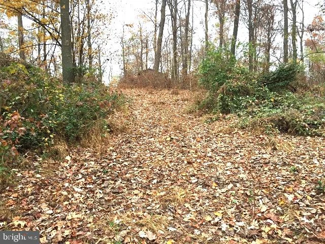 0 Hill Road