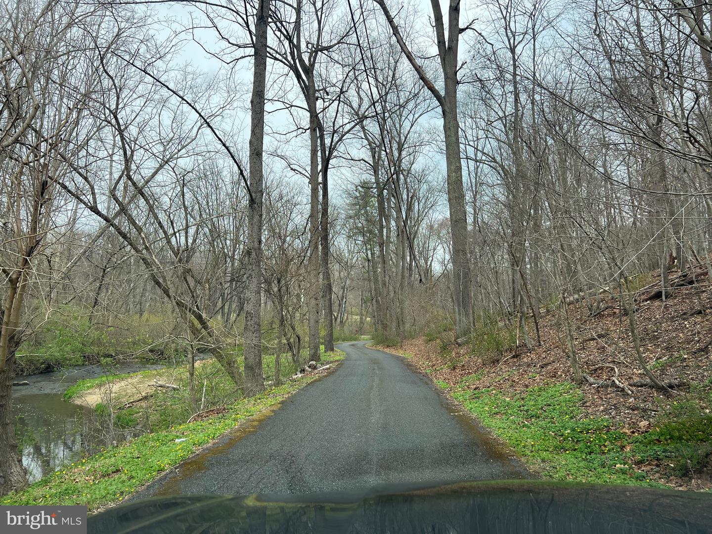 Dogwood Rd