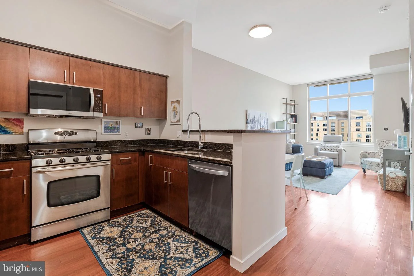 1000 New Jersey Avenue SE Unit PH12